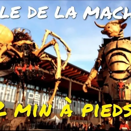 L'envol *
